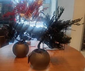 柚木らんの写メ日記｜プレジデントハウス 吉原大衆店ソープ