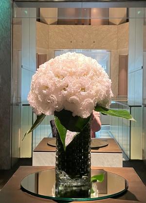 島津舞香の写メ日記｜プレジデントハウス 吉原大衆店ソープ