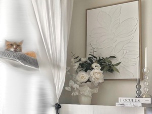 Renonの写メ日記｜プロポーション 吉原高級店ソープ