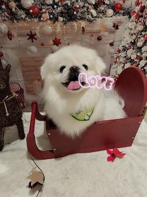 愛原よし乃の写メ日記｜ローテンブルク 吉原高級店ソープ