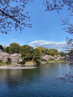 大桃かれんの写メ日記｜ローテンブルク 吉原高級店ソープ