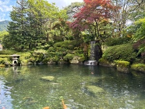 大桃かれんの写メ日記｜ローテンブルク 吉原高級店ソープ