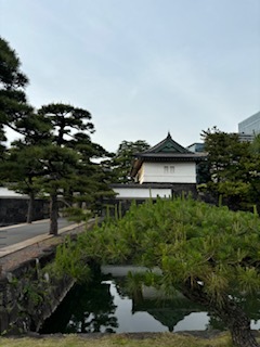 大桃かれんの写メ日記｜ローテンブルク 吉原高級店ソープ