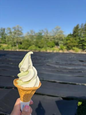 大桃かれんの写メ日記｜ローテンブルク 吉原高級店ソープ