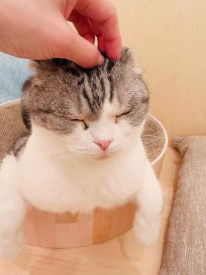 八代麻里江の写メ日記｜ローテンブルク 吉原高級店ソープ