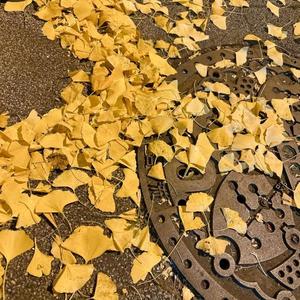 長門明奈の写メ日記｜ローテンブルク 吉原高級店ソープ