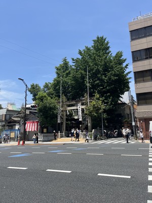 天野いくみの写メ日記｜ローテンブルク 吉原高級店ソープ