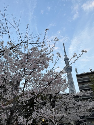 天野いくみの写メ日記｜ローテンブルク 吉原高級店ソープ