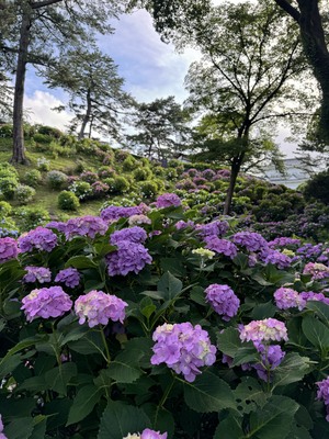 星月彩花の写メ日記｜ローテンブルク 吉原高級店ソープ