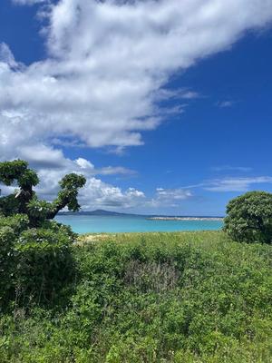 夢野 雅の写メ日記｜ローテンブルク 吉原高級店ソープ