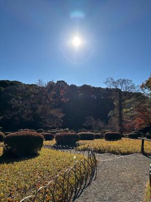 山岡鈴蘭の写メ日記｜ローテンブルク 吉原高級店ソープ