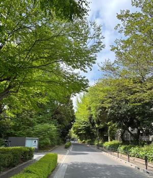 山岡鈴蘭の写メ日記｜ローテンブルク 吉原高級店ソープ