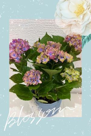 山岡鈴蘭の写メ日記｜ローテンブルク 吉原高級店ソープ