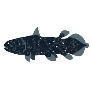 宝生 雫の写メ日記｜ローテンブルク 吉原高級店ソープ