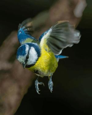八木香苗の写メ日記｜ローテンブルク 吉原高級店ソープ