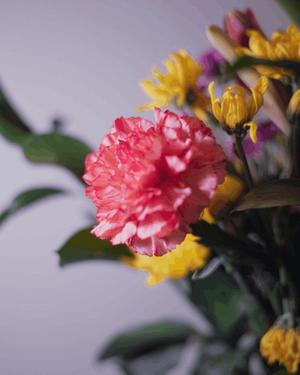 八木香苗の写メ日記｜ローテンブルク 吉原高級店ソープ