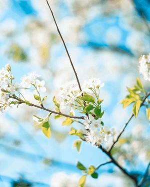 八木香苗の写メ日記｜ローテンブルク 吉原高級店ソープ