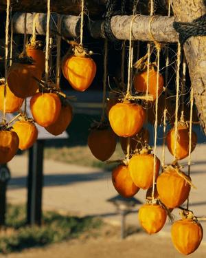 八木香苗の写メ日記｜ローテンブルク 吉原高級店ソープ