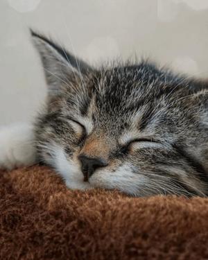 八木香苗の写メ日記｜ローテンブルク 吉原高級店ソープ