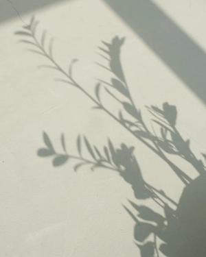 八木香苗の写メ日記｜ローテンブルク 吉原高級店ソープ