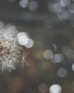 八木香苗の写メ日記｜ローテンブルク 吉原高級店ソープ
