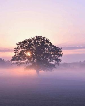 八木香苗の写メ日記｜ローテンブルク 吉原高級店ソープ