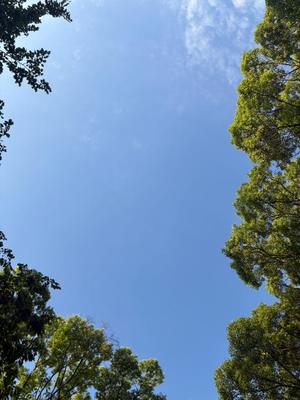 雪平奈々の写メ日記｜ローテンブルク 吉原高級店ソープ