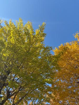 雪平奈々の写メ日記｜ローテンブルク 吉原高級店ソープ