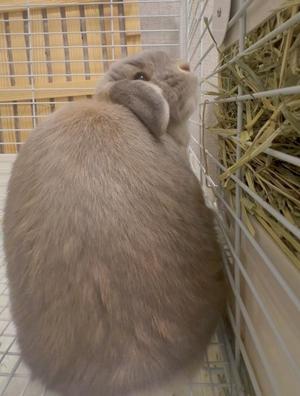 雪平奈々の写メ日記｜ローテンブルク 吉原高級店ソープ