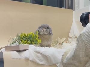 雪平奈々の写メ日記｜ローテンブルク 吉原高級店ソープ