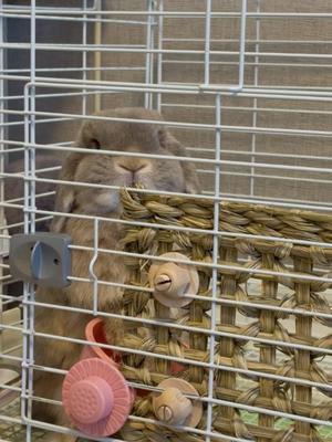 雪平奈々の写メ日記｜ローテンブルク 吉原高級店ソープ