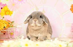 雪平奈々の写メ日記｜ローテンブルク 吉原高級店ソープ