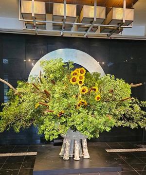長澤舞美の写メ日記｜ローテンブルク 吉原高級店ソープ
