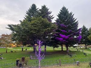 長澤舞美の写メ日記｜ローテンブルク 吉原高級店ソープ