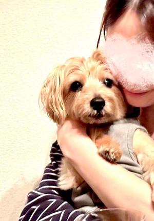 長澤舞美の写メ日記｜ローテンブルク 吉原高級店ソープ