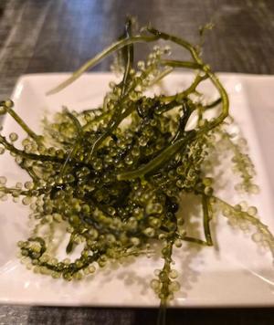 長澤舞美の写メ日記｜ローテンブルク 吉原高級店ソープ