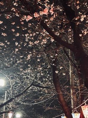 長澤舞美の写メ日記|ローテンブルク 吉原高級店ソープ