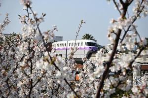 長澤舞美の写メ日記｜ローテンブルク 吉原高級店ソープ