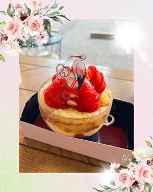 れおの写メ日記｜ローテンブルク 吉原高級店ソープ