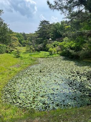 菜々穂の写メ日記｜ローテンブルク 吉原高級店ソープ