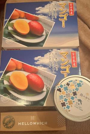 伊原知花の写メ日記｜ローテンブルク 吉原高級店ソープ