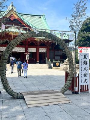 伊原知花の写メ日記｜ローテンブルク 吉原高級店ソープ