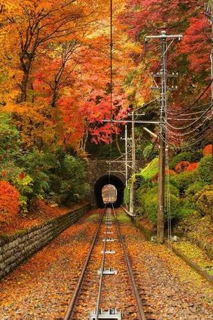 伊原知花の写メ日記｜ローテンブルク 吉原高級店ソープ