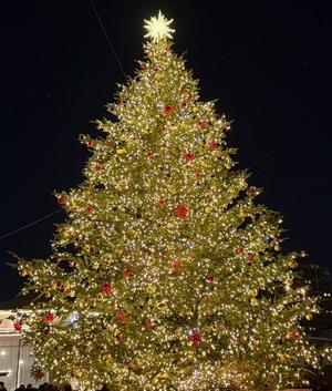 伊原知花の写メ日記｜ローテンブルク 吉原高級店ソープ