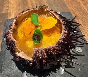伊原知花の写メ日記｜ローテンブルク 吉原高級店ソープ