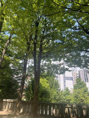 小栗彩矢の写メ日記｜ローテンブルク 吉原高級店ソープ
