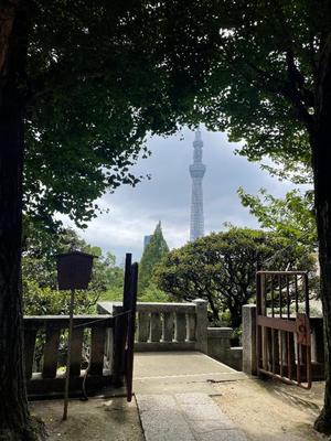 小栗彩矢の写メ日記｜ローテンブルク 吉原高級店ソープ