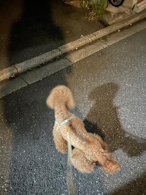 小栗彩矢の写メ日記|ローテンブルク 吉原高級店ソープ