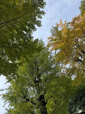 小栗彩矢の写メ日記｜ローテンブルク 吉原高級店ソープ