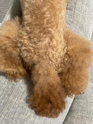 小栗彩矢の写メ日記｜ローテンブルク 吉原高級店ソープ